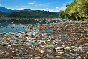 New Zealand Enviroment