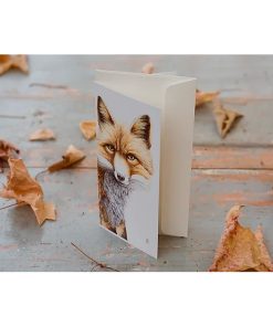 Wild Grey Fox Mrs Fox