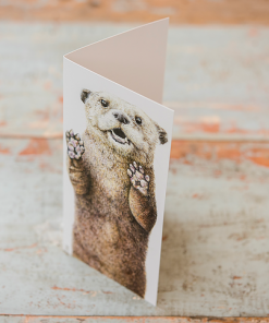 Wild Grey Fox Otter Card